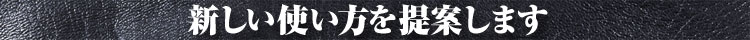 vip06_titleback.jpg